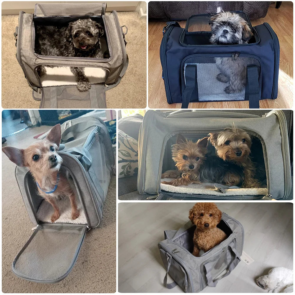 Pet Travel Carriers