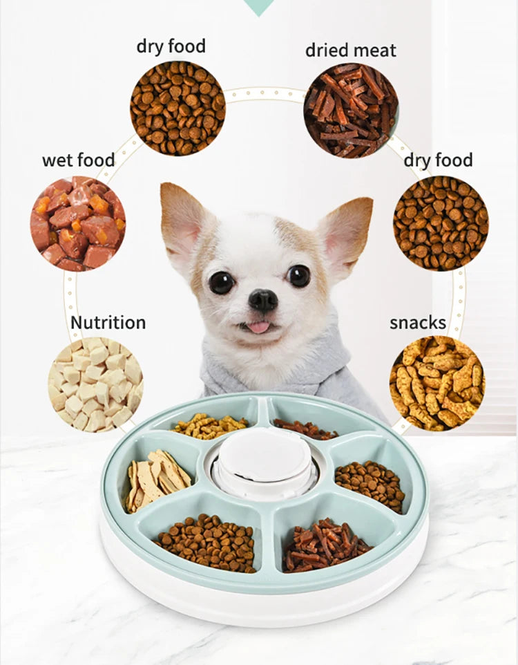 High Quality Fashion Design Microchip Pet Feeder 6 Separated Meal Trays Electric Cat Dog Food Bowl Automatic Pet Bowls & Feeders