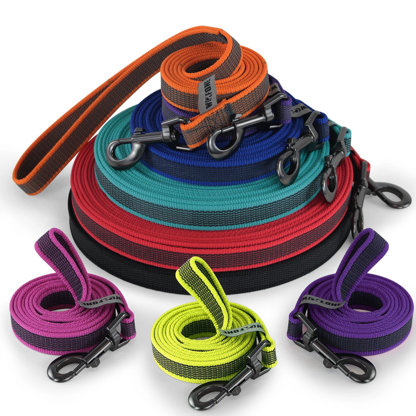 Training Leashes for Big to Small Dogs