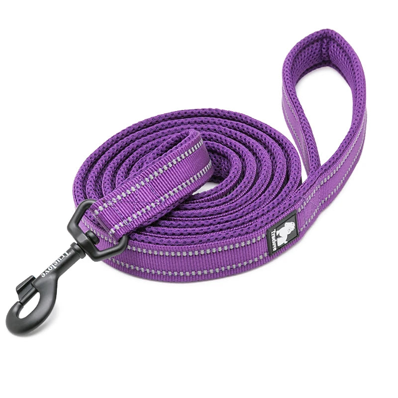 Winhyepet Nylon Dog Leash with Comfortable Padded Handle Heavy Duty Training Durable Pet Leash for Small Medium Large Dogs