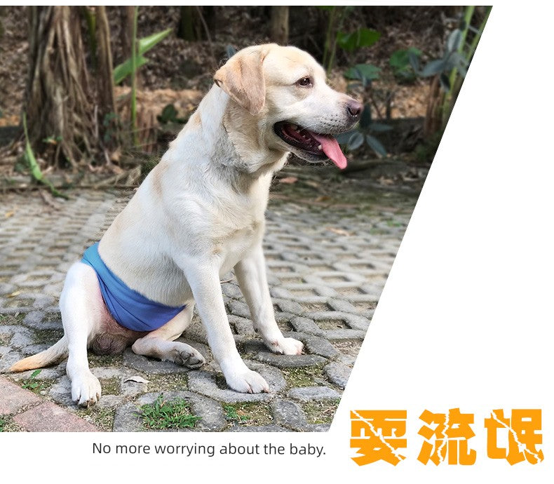 Male Dog Physical Pants Diaper Anti-Harassment Dog Diaper Pants Bellyband Teddy/Golden Retriever Waterproof Bottom Washable Underwear