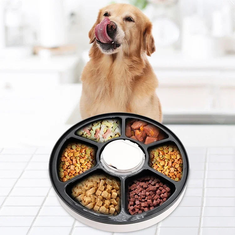 High Quality Fashion Design Microchip Pet Feeder 6 Separated Meal Trays Electric Cat Dog Food Bowl Automatic Pet Bowls & Feeders