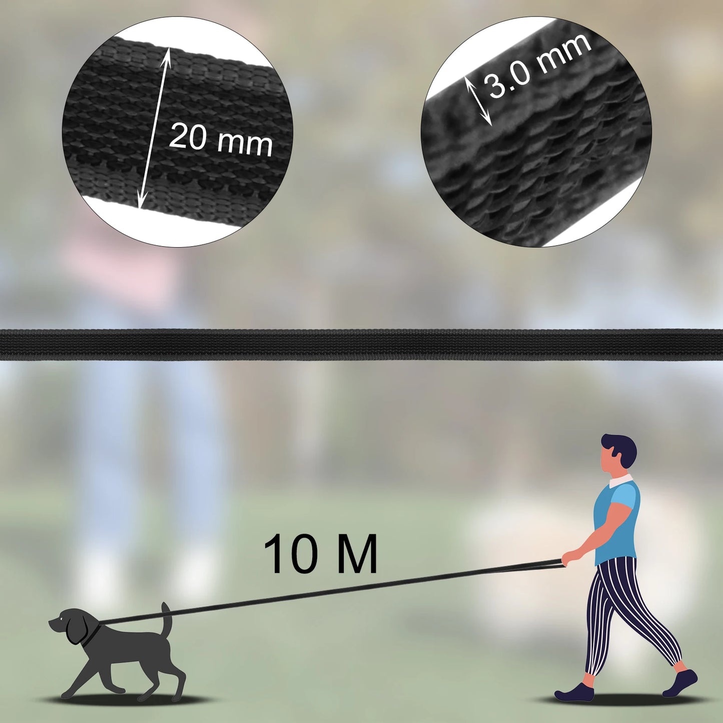 Training Leashes for Big to Small Dogs