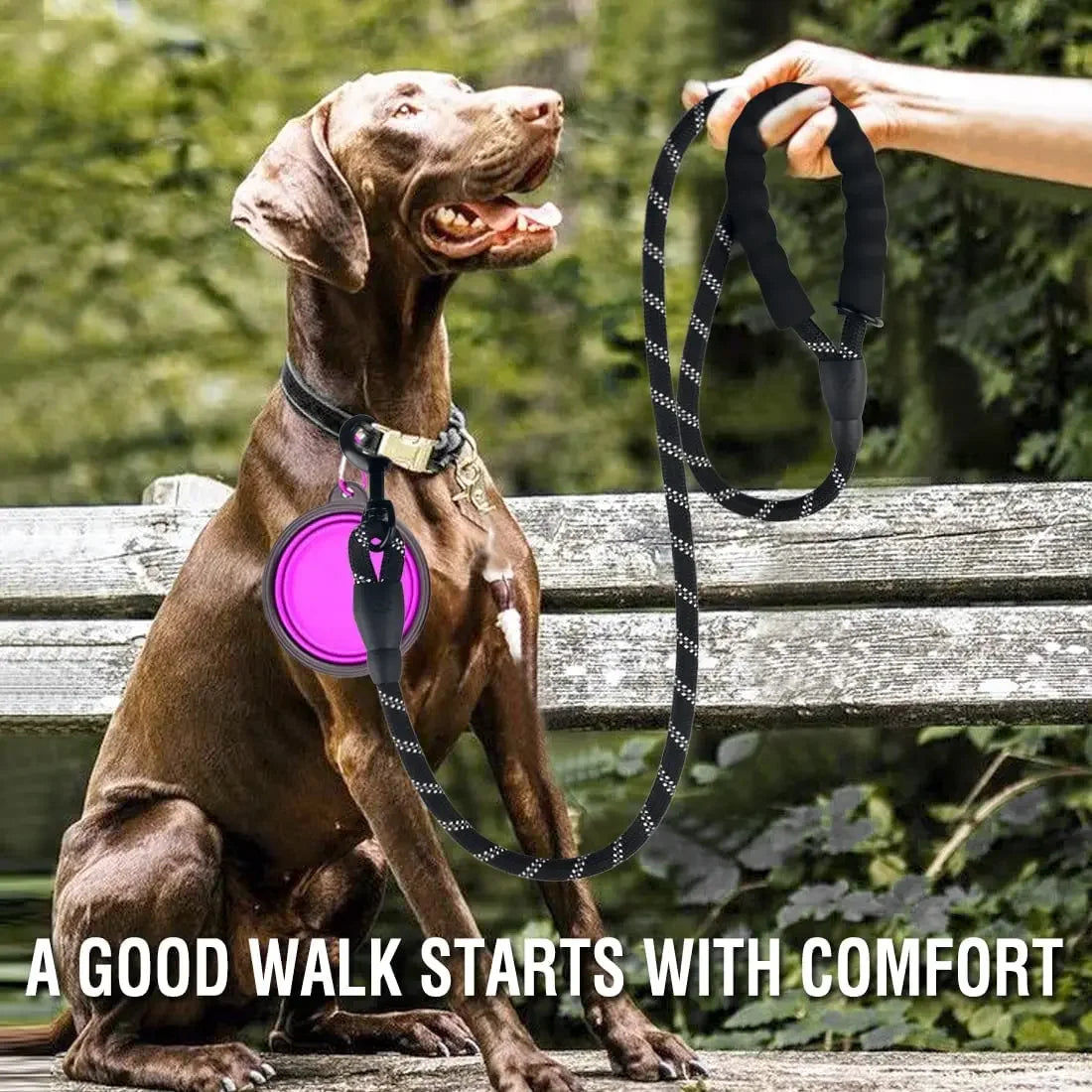 Strong Reflective Pet Leash