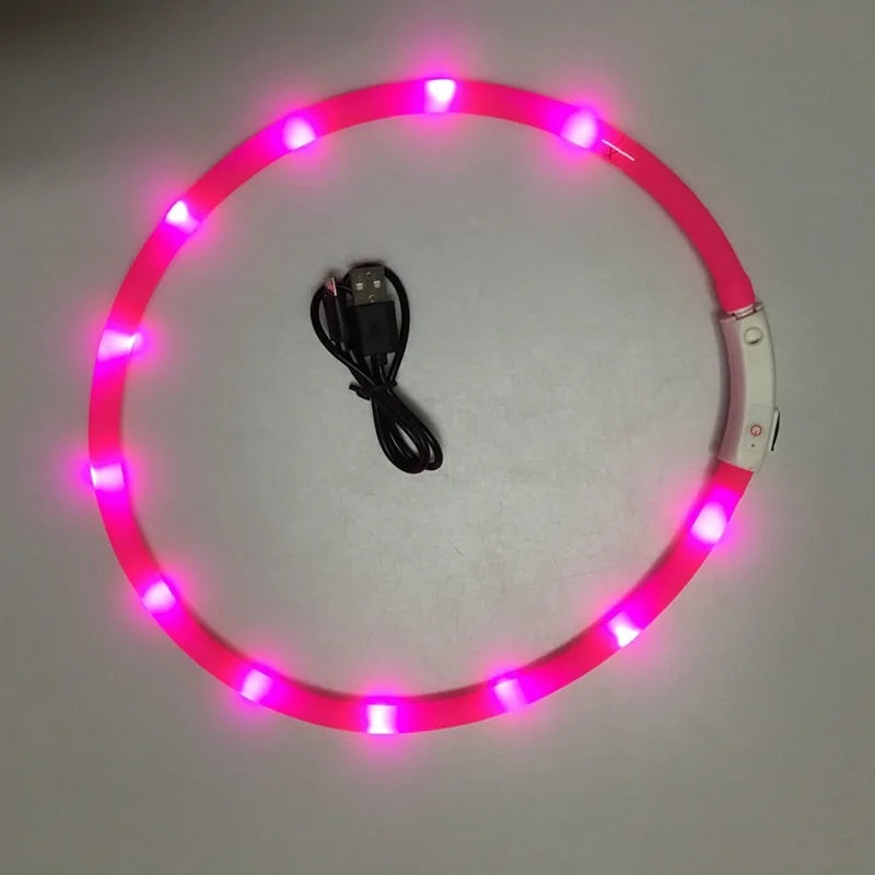 Luminous Pet Collar